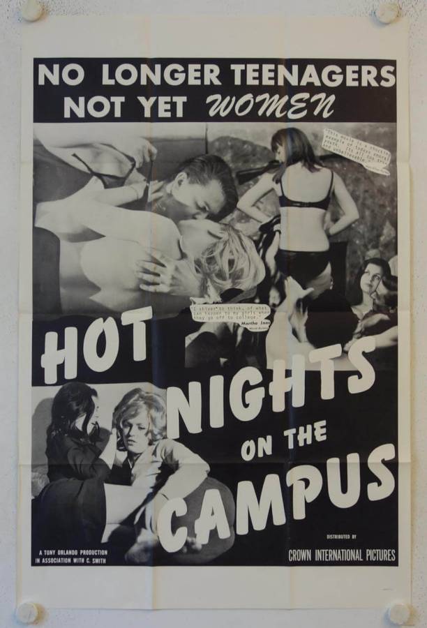 Hot Nights on the Campus originales US Onesheet Filmplakat